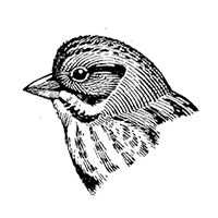 Item 5